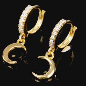 [Adelina Style] ピアス レディース 人気 フープピアス 1ペア 小さめ ゆれる ダングルピアス キュービックジルコニア サージカルステンレス 金属アレルギー対応 金メッキ 全長20mm (タイプI)